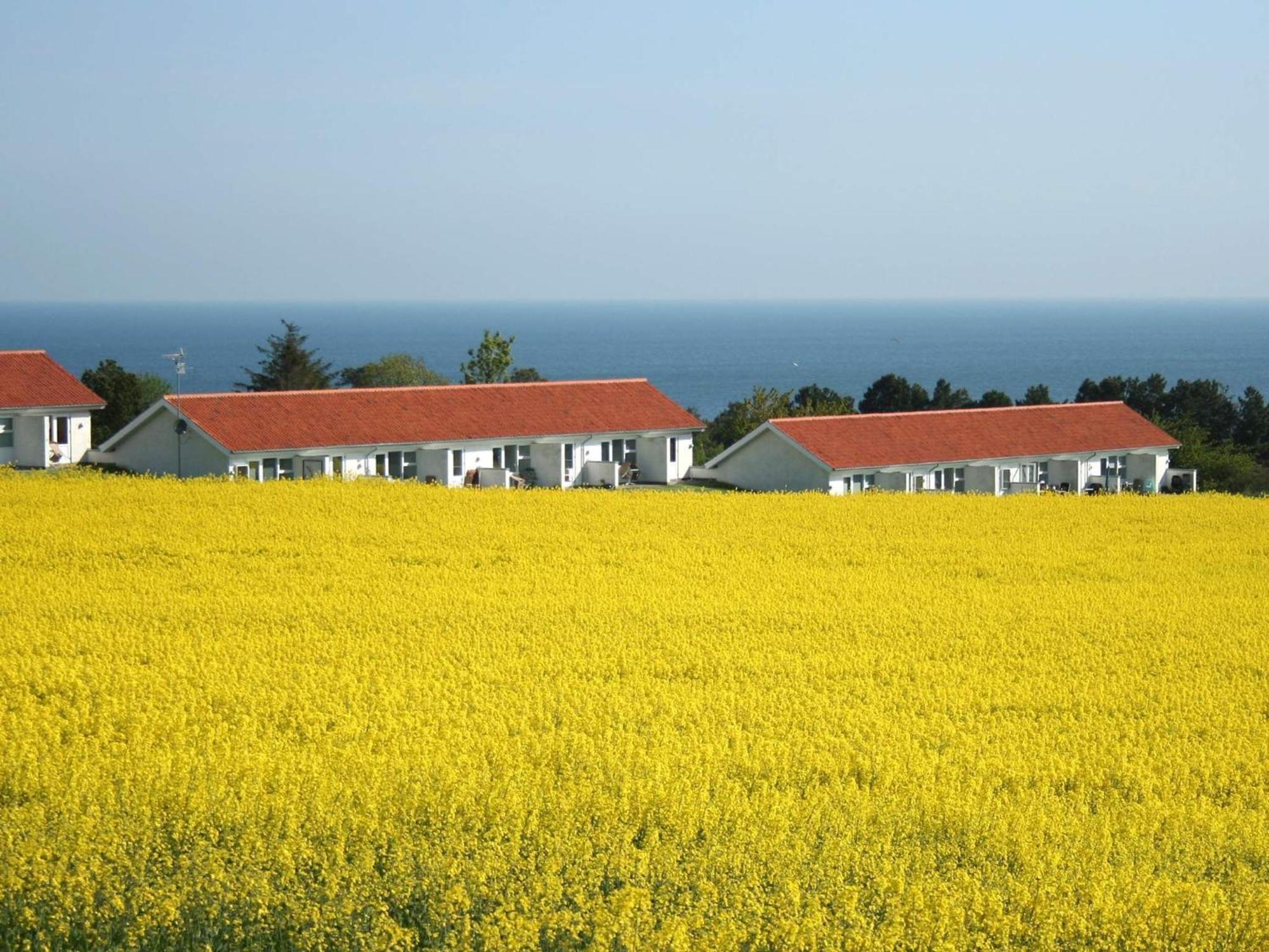 2 Person Holiday Home In Allinge Exteriör bild